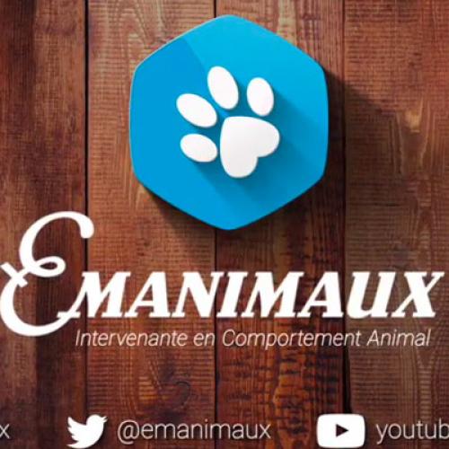 Emanimaux Logo Animation