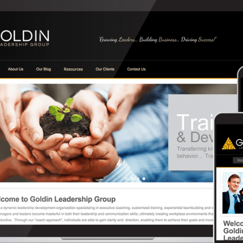 Goldin Custom Web Design