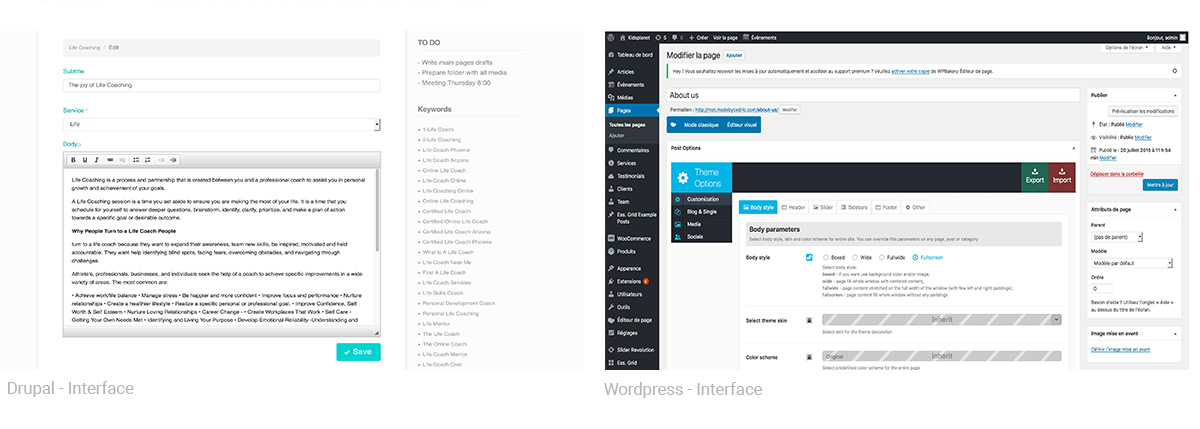 Client Interface - Wordpress vs Drupal