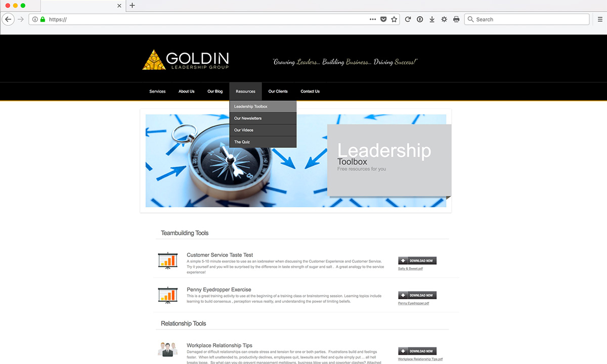 Goldin Website Services