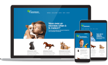 Site Web - Comportement Animal