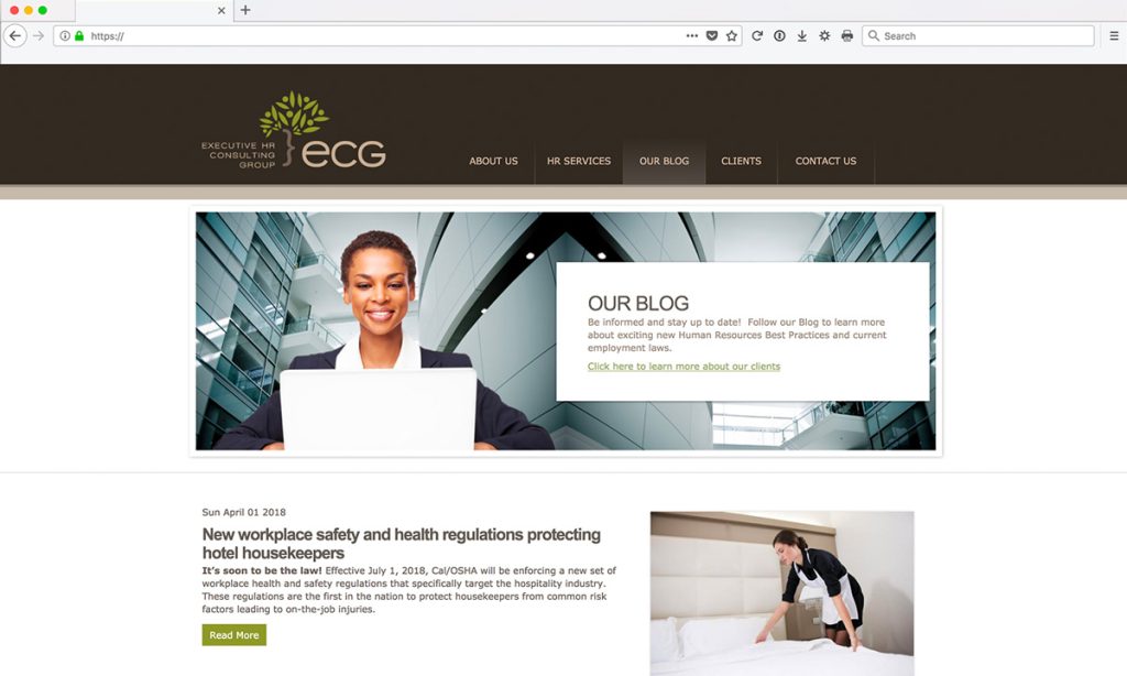 ECG Website Services