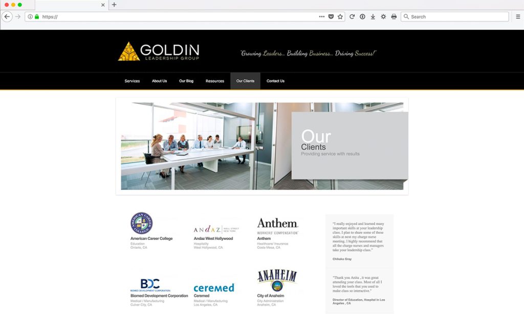 Goldin Website Design