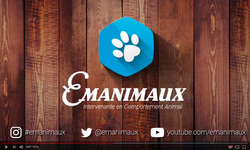 Emanimaux Logo Animation